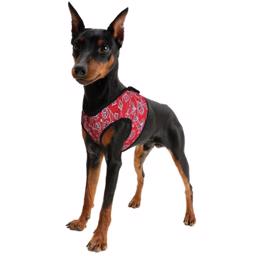 Hundar Cool Harness Comfy Design Red Western